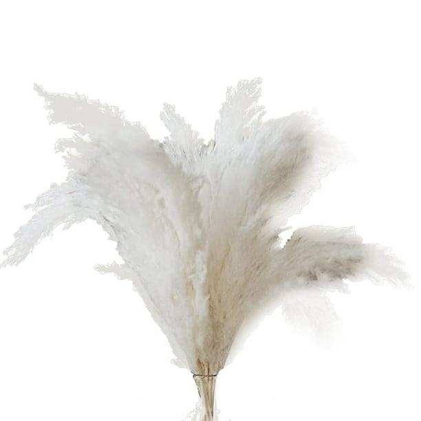 Hierba de Pampa - 10 Tallos de Pampa de Hierba de Pampa Esponjosa para DecoracióN de Bodas, Hogar y Eventos - Hierba de Pampa