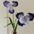 thumbnail image 2 of 2 Pcs Artificial Flowers, 29.13" Long iris Stem Flower, Faux Wedding Flower Bouquet Vase Floral Arrangement for Table Centerpiece Wedding Holidays Party Home Decor, 2 of 7