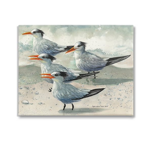 Stupell Industries Chirping Beach Birds Animals & Insects Painting Gallery Wrapped Canvas Art Print Wall Art, 20 x 16