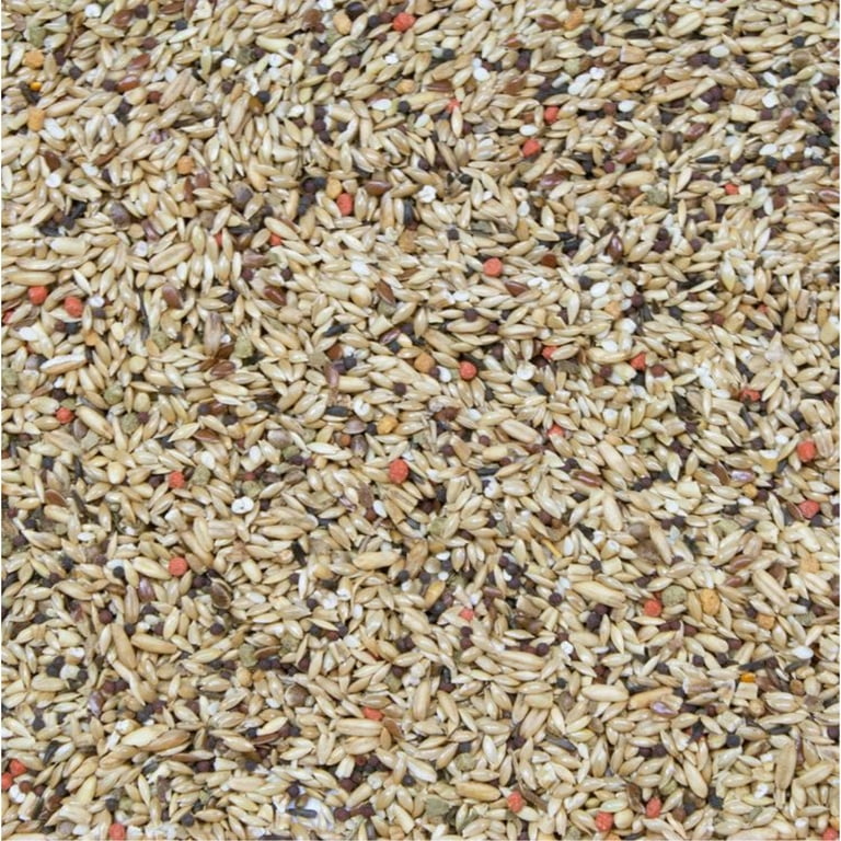 Higgins Premium Canary Seed Food, 25 Lb, Ideal for Canaries