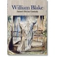 thumbnail image 4 of William Blake: Dante's Divine Comedy, The Complete Drawings, 4 of 4