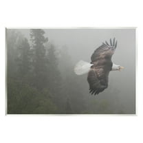 Stupell Industries Soaring Eagle in Nature Animals & Insects Photography Unframed Art Print Wall Art, 19 x 13
