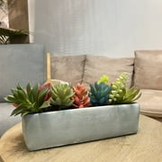 Mainstays 5 in Tall Artificial Green Succulent Plant in Rectangle Cement Planter, Indoor Decoration.