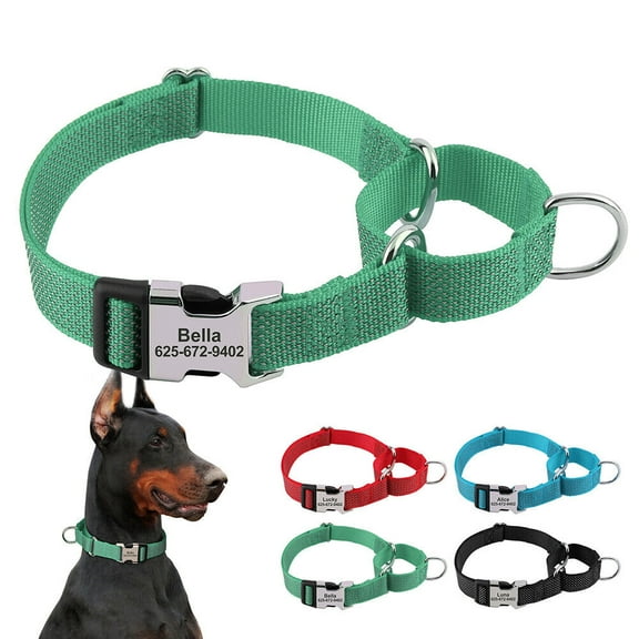 Didog Reflective Personalized Dog Collar Pet Martingale Training Necklace Custom Name Tag S M L