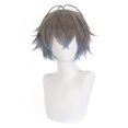 thumbnail image 1 of Peluca de cosplay corta de 30 cm gris y azul para personajes de anime, 1 of 3
