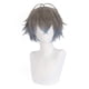 thumbnail image 1 of Peluca de cosplay corta de 30 cm gris y azul para personajes de anime, 1 of 3