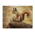 thumbnail image 3 of Designart "Energetic Squirrel I" Animals Print on Natural Pine Wood, 3 of 5
