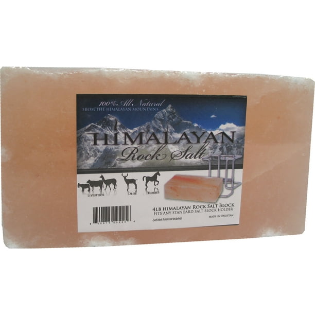 HIMALAYAN ROCK SALT BRICK 4LB10