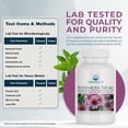 thumbnail image 4 of Nature's Lab Echinacea 760mg Dietary Supplement - 100 Capsules (50 Day Supply) - Powerful All Natural Immune System Support* - Non-GMO, Gluten Free, 4 of 7