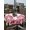Pink HotPink, variant on Outdoor Tablecloth with Umbrella Hole and Zipper, Valentine's Day Round Table Cloth 54 Inch Waterproof Tablecloth, Pink Love Gnomes Roses Romantic White Picnic Table Cover for Patio Camping