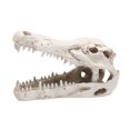 thumbnail image 3 of Dinosaur Aquarium Decorations Fish Figurine Triceratops Skull Novelty Dinosaur Fish Tank Decorations Resin Ornament Decorate for garden and home, 3 of 9