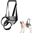 thumbnail image 1 of Arnés de soporte para patas traseras para perros grandes con asa de elevación, ajustable, para aliviar el dolor y rehabilitación quirúrgica (talla M), 1 of 3