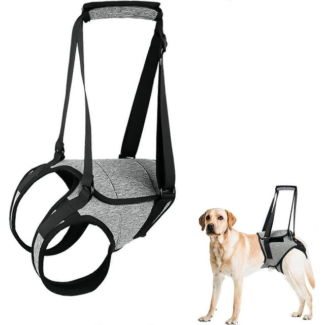 Arnés de soporte para patas traseras para perros grandes con asa de elevación, ajustable, para aliviar el dolor y rehabilitación quirúrgica (talla M)