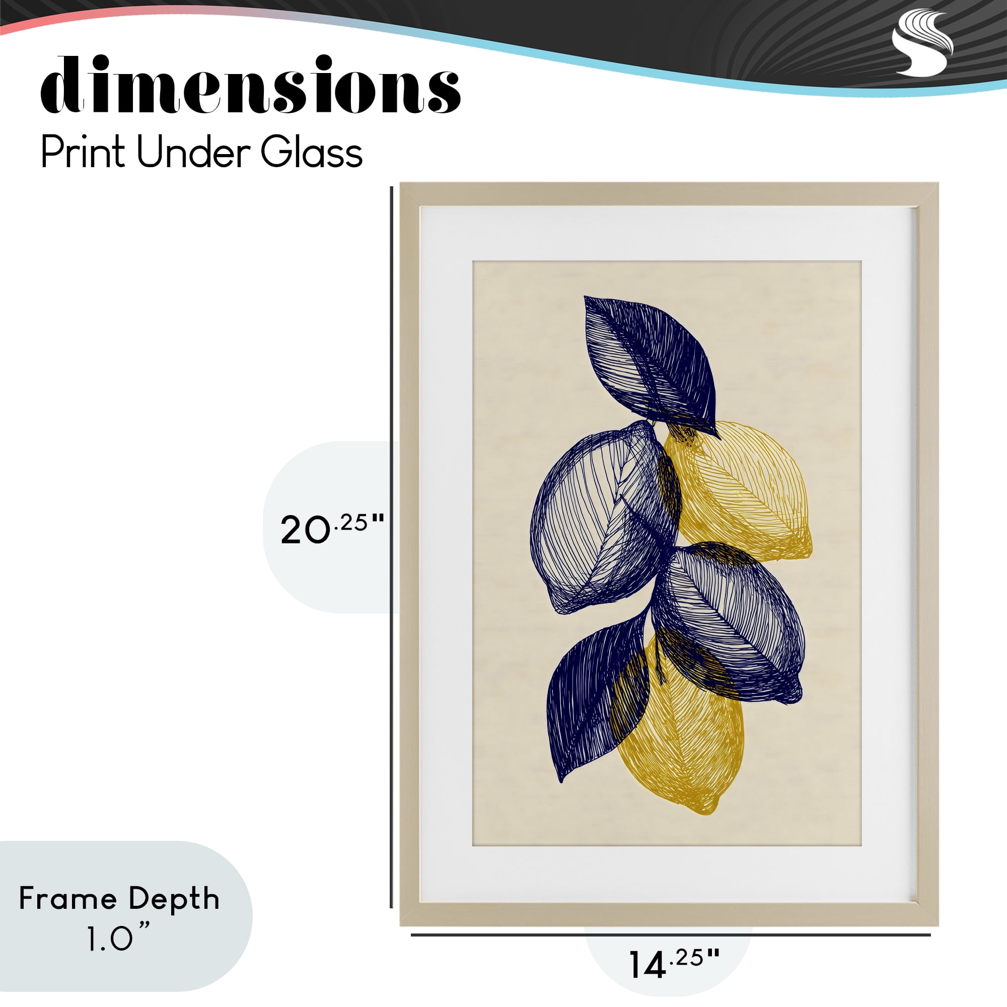 Stupell Industries Navy Lemons Botanical Sketch Birch Framed Print Under Glass, design by Petal Prints Design