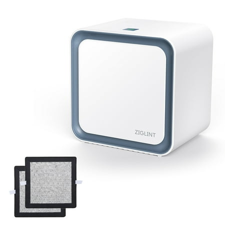 Portable air cleaners for allergies