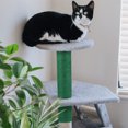 thumbnail image 3 of Tall Scratching Post Cats Scratching Post Cute Cat Scratching Post Carpet Scratch Post Replacement Kitten Accessory Sisal Cat Scratching Post, 3 of 8