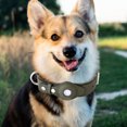 thumbnail image 1 of Pet Collar Creative Anti Loss Location Tracker Collares para cachorro (verde oliva M) Sywqhk Libre de BPA, 1 of 8