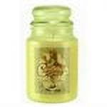 Cinn-A-Bun Courtneys Candles Maximum Scented 26oz Large Jar Candle