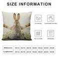 thumbnail image 5 of ONETECH  Throw Pillow Case Cover Grey Rabbit Isolated on A White Background Bunny Tail Back - Soft Pillow Case for Decorative Bedroom/Livingroom/Sofa/Farm House - Cushion Covers, 5 of 5