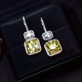 thumbnail image 2 of EOEMY Charm Women Gifts Cubic Zircon Engagement 925 Silver Drop Earring A Pair, 2 of 8