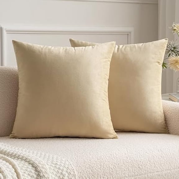 Eryueer Velvet Cushion Covers Soft Decorative Square Throw Pillow Case Pillowcases for Livingroom Sofa Bedroom with Invisible Zipper 18"x18" 45cm x 45cm 2 Pieces Beige