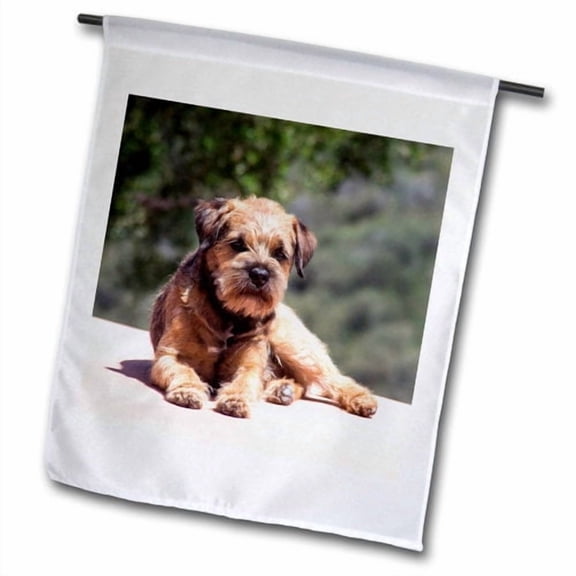 3dRose, Border Terrier resting in a garden, 12 x 18 inch Garden Flag