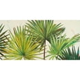 thumbnail image 3 of Pinto, Patricia 18x11 Black Modern Framed Museum Art Print Titled - Arte Verde II, 3 of 5