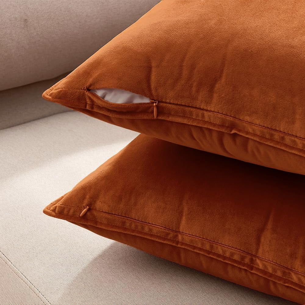 Cterwk 2 Pack Soft Velvet Square Throw Pillow Covers Square Cushion Case for Bed Couch Sofa Bench, 24 x 24 inch