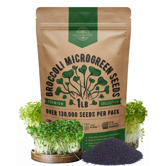 Organo Republic - Broccoli Sprouting & Microgreens Seeds 1LB - 130000  Non GMO Heirloom Seeds
