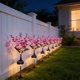 thumbnail image 5 of CaiYueKe Solar Powered LED String Lights Outdoor Garden Lights Waterproof Flower Lawn Lights for Patio Yard Pathway Walkway Landscape Decor Party Festival Decorations, 5 of 7