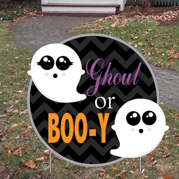 VictoryStore Gender Reveal Decorations - Ghoul Or Boo-y 22 inches x 23.5 inches Sign Set of 2 Includes 4 Stakes, 13503