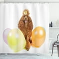 thumbnail image 1 of Poodle Shower Curtain, Partying with Dog a Flower on Head Colorful Balloons, Fabric Bathroom Set with Hooks, 69W X 75L Inches Long, Pale Orange Pastel Yellow and Multicolor, by Ambesonne, 1 of 3