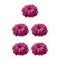 thumbnail image 1 of fastboy 100 Pcs Élastiques Accessoires pour Queue de Cheval Rose Rouge 5Ensemble, 1 of 6