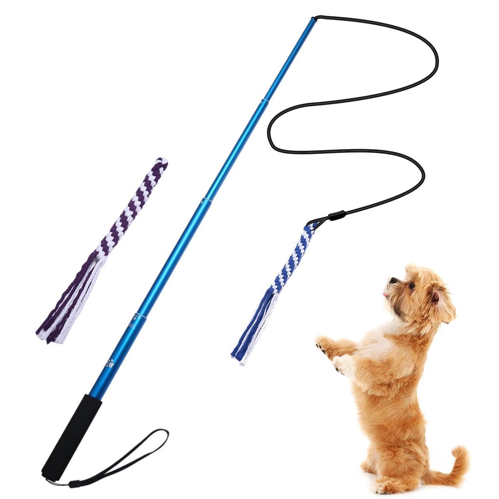outdoor play toys for dogs