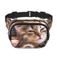 thumbnail image 1 of Disketp Playful Cat Riñonera de Doble Capa, Bolsa de Cintura Ajustable para Viajes, Correr y Senderismo, Riñonera Ligera para Hombre y Mujer, 1 of 9