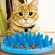 thumbnail image 5 of Uds. Cuenco para perros y gatos con alimentador lento, cuenco para gatos, cuenco para perros con alimentador lento,, 5 of 5