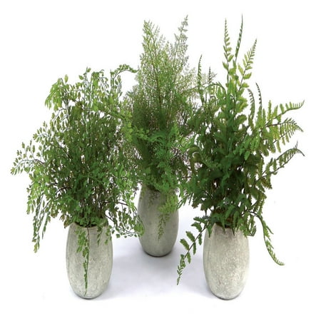 UPC 746427384650 product image for Melrose International Potted Fern Silk Plants - Set of 3 | upcitemdb.com