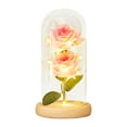 1X Ornament Desktop Ornament Eternal Flower Simulation Rose Glass Cover