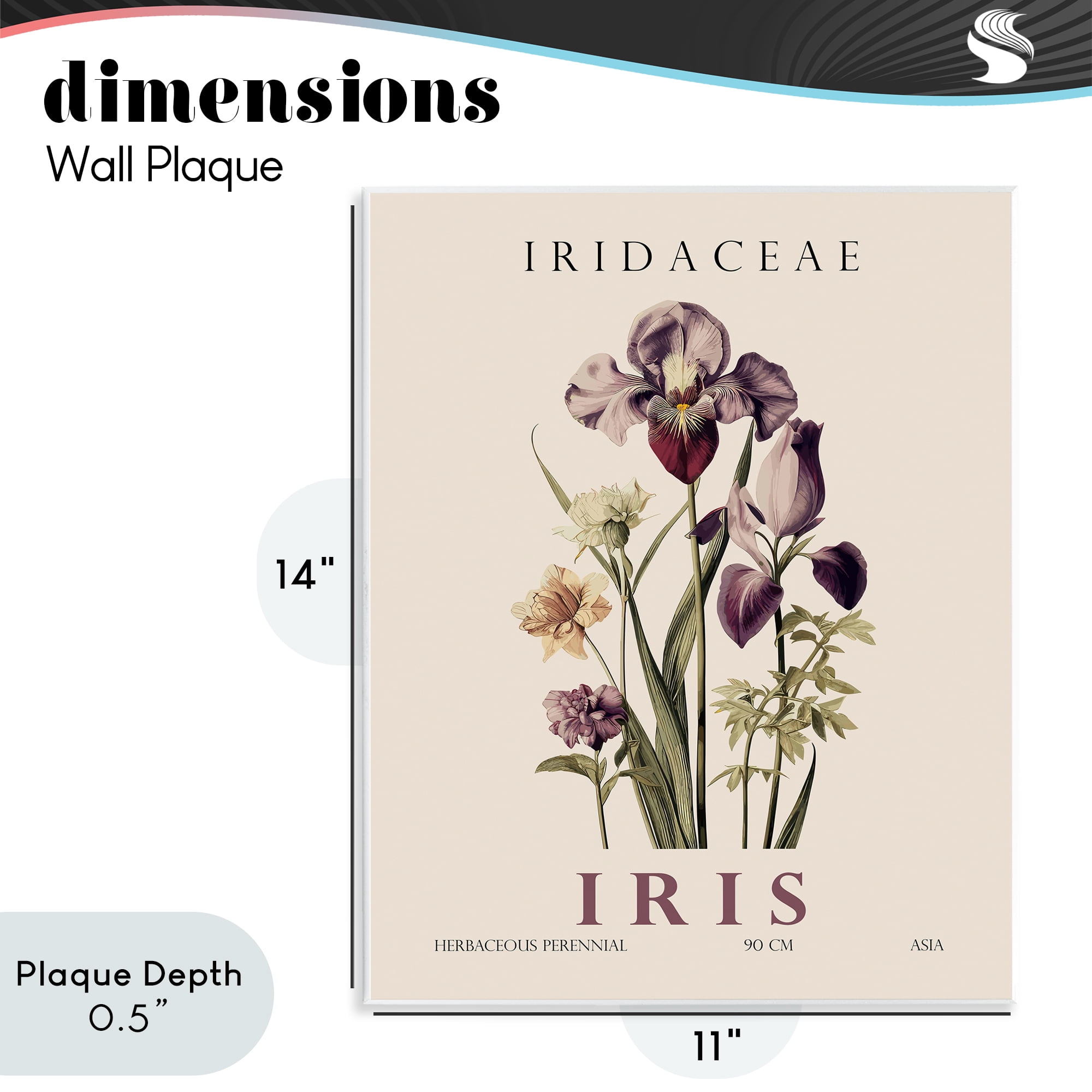 Stupell Industries Natural Iris Bundle Wall Plaque Art, design by Christopher Giampietro