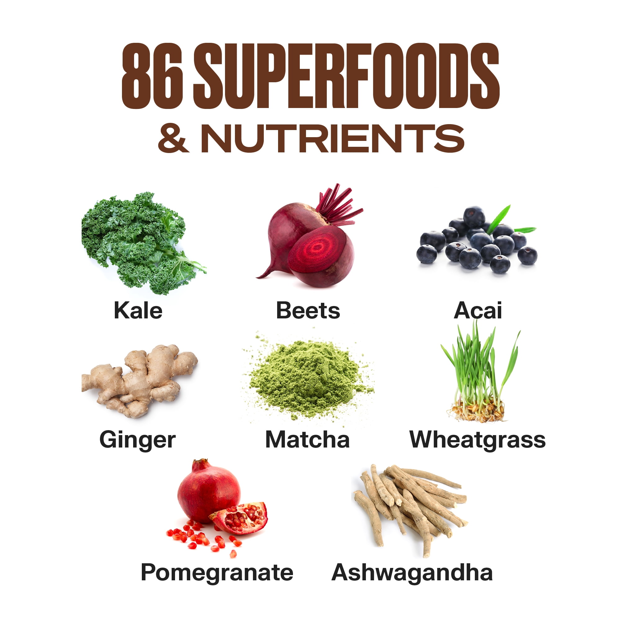 Superfood Protein + Greens, All-in-One Nutrition Shake with 20g Plant Protein, Chocolate, 10 Servings