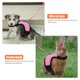 thumbnail image 3 of unbranded 3Jgo Arnés Con Correa Para Ideal Para Uso Interior Y Exterior En Mascotas Pequeñas, 3 of 6