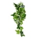 thumbnail image 3 of Plantas artificiales de reptiles Ticfox decoración de hojas colgantes con ventosa para reptiles, 3 of 14