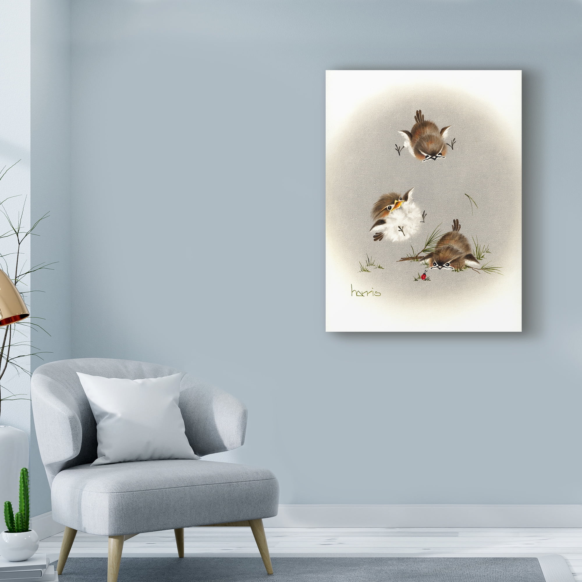 Trademark Fine Art 'Grounded Small Birds' Canvas Art by Peggy Harris
