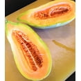 thumbnail image 5 of TomorrowSeeds - Banana Cantaloupe Seeds - 150+ Count - For 2025 Planting Cucumis Melo Heirloom, 5 of 11