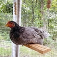 thumbnail image 4 of Chicken Coop Swing Toy Large Wooden Bird Swing Ladder, Brown 43in Perch for Medium Large Parrots, Colorful Beads, Hanging Exercise Play St, 4 of 7
