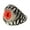 Red, variant on Evil Eye Eyeball Ring for Men or Women Stainless Steel Biker Ginger Lyne Collection