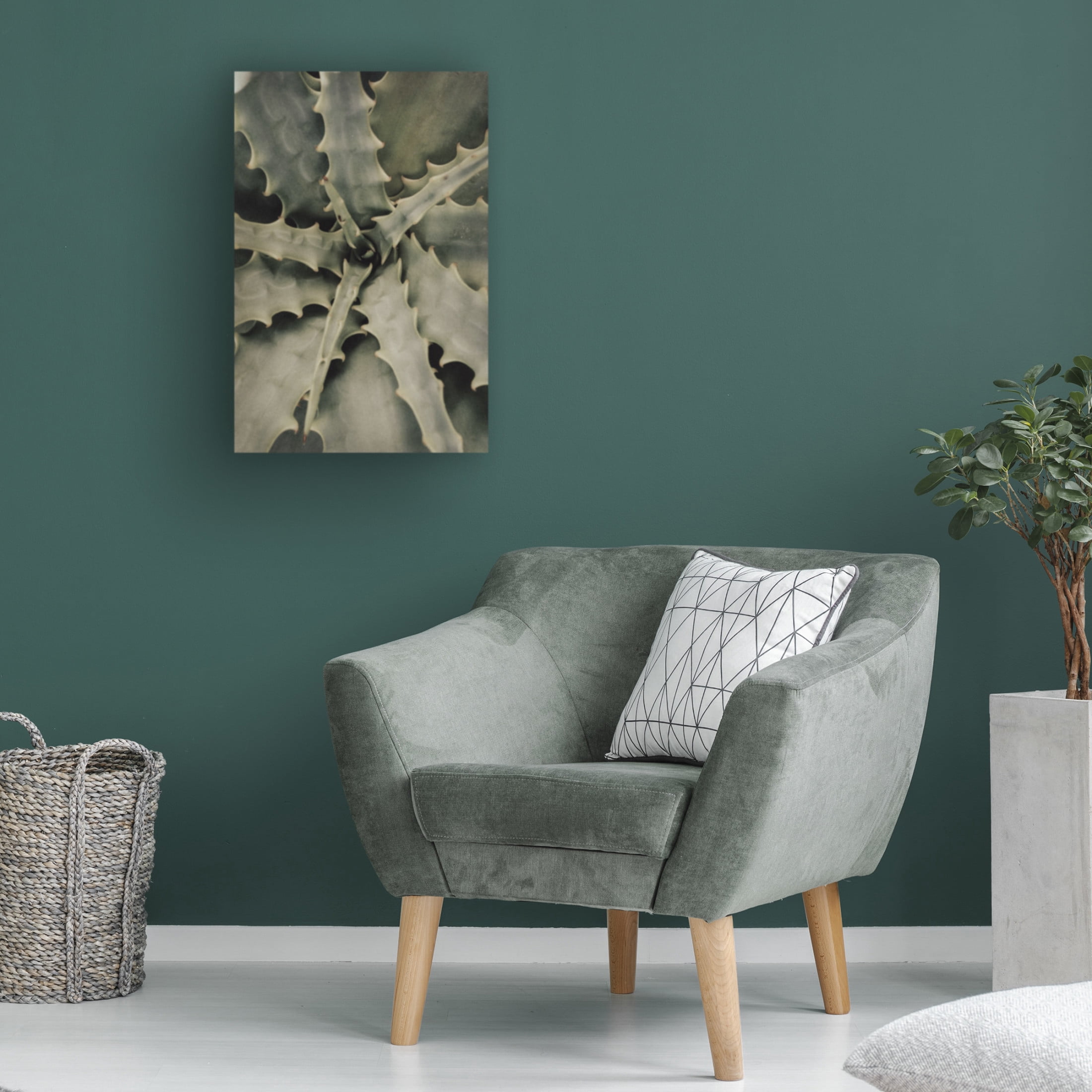 Trademark Fine Art Pictufy Studio III Aloe 2 Canvas Wall Art