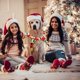 thumbnail image 5 of Accesorios navideños para mascotas Collar navideño para perros Collares para mascotas, 5 of 5
