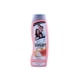 thumbnail image 1 of Pack de 12 Shampoo Vanart Duo 370 ml Vanart Duo, 1 of 3