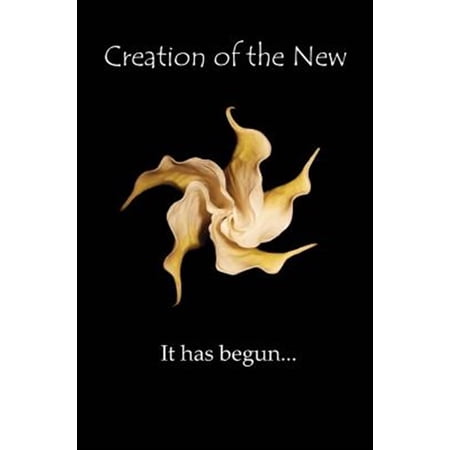 Pre-Owned Creation of the New (Paperback) 0615535518 9780615535517